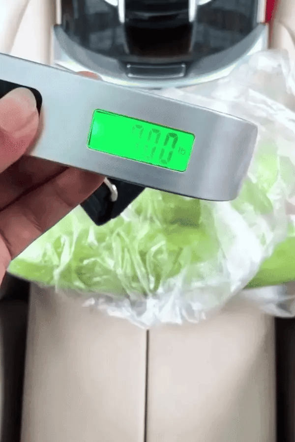Compact Digital Hanging Scale